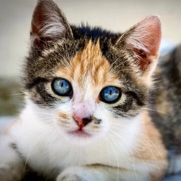 风暴娱乐 App 界面